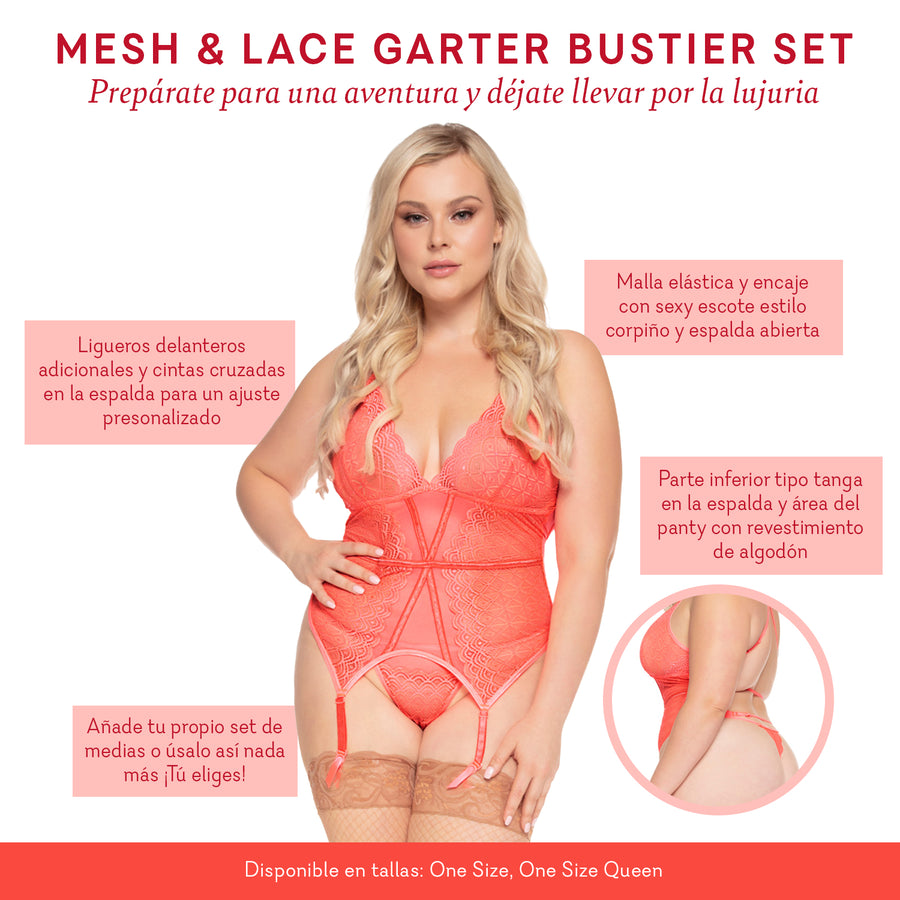 Mesh & Lace Garter Bustier Set